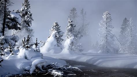 1920x1080 Snowdrifts Weather Snow Winter Nature Conditions Trees