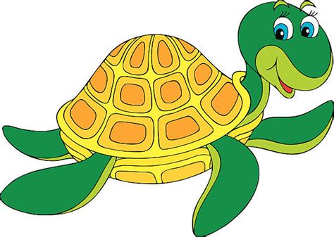 Clip Art Of Loggerhead Turtles Illustrations Royalty Free Vector