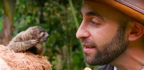 Man Comes Face To Face With A Baby Rescue Sloth And Its