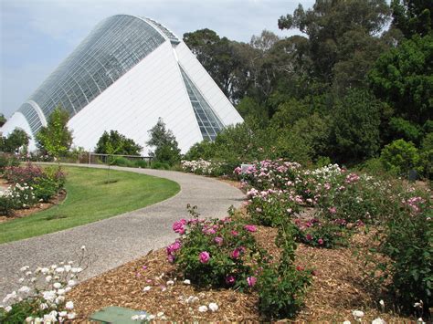 Adelaide Botanic Gardens Bicentennial Conservatory Trevors Travels