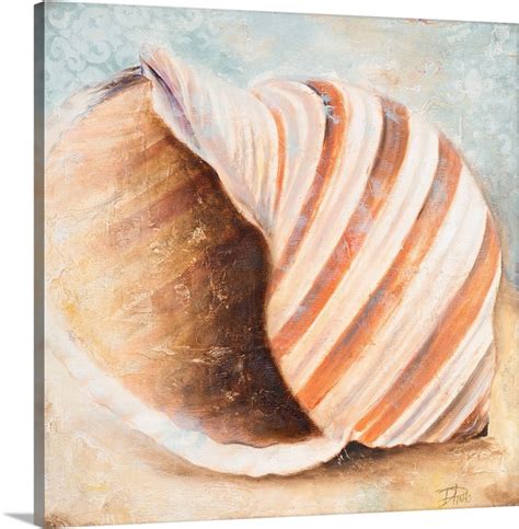 Seashell Collection I Wall Art Canvas Prints Framed Prints Wall