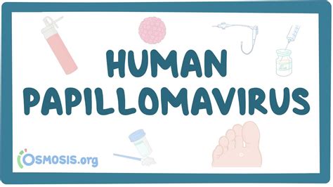 Human Papillomavirus Video Anatomy And Definition Osmosis