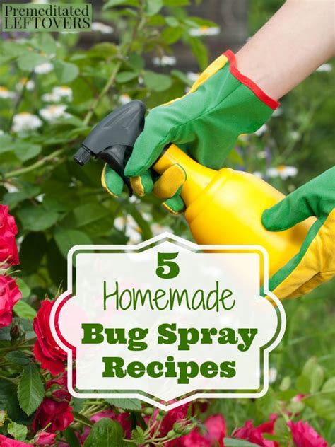 5 Homemade Bug Spray Recipes Bug Spray Recipe Homemade Bug Spray
