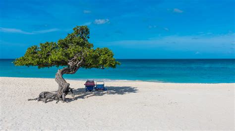 Como Escolher A Melhor Praia Para Conhecer Archives Dicas De Viagem E Turismo Conexão123