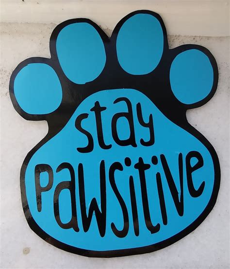 Stay Pawsitive Vinyl Decal Etsy