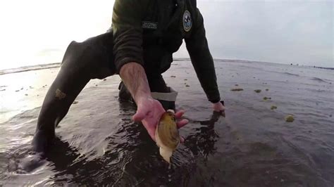 Washington Razor Clam Dig Starts Bdoutdoors Bloodydecks