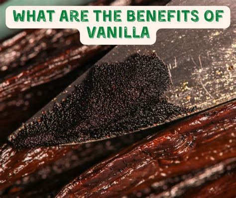 What Are The Benefits Of Vanilla Wayapi Agência