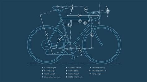 Standard Bike Fitting Service The Endurance Coach