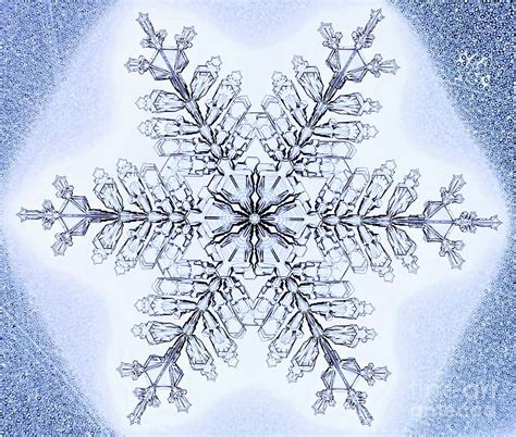 Stellar Dendrite Snowflake Photograph By Kenneth Libbrechtscience