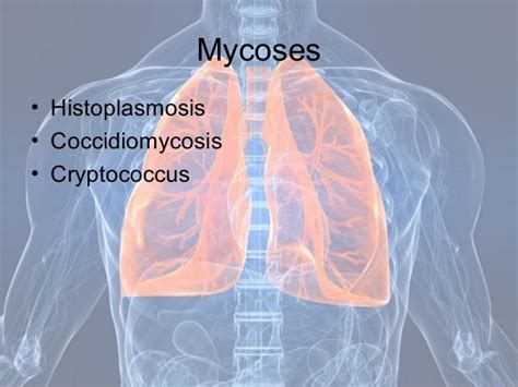 Diseases Of The Respiratory System