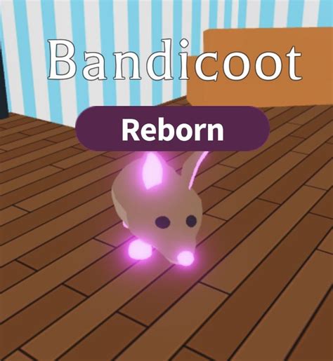 Pin By Sophie Koszyl Bull On My Adopt Me Pets Bandicoot Neon Roblox