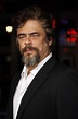 Benicio Del Toro | Biography, Movies, Star Wars, & Facts | Britannica
