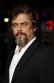 Benicio Del Toro | Biography, Movies, Star Wars, & Facts | Britannica