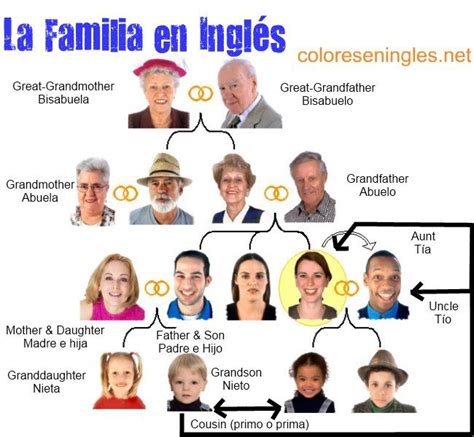 Miembros De La Familia Ingles EspaÑol Temas De Ingles Integrantes