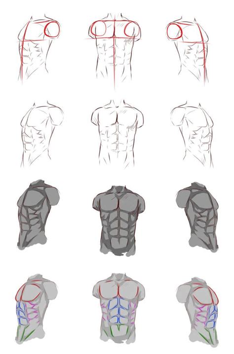 How To Draw Male Torso 45 Photos Drawings For Sketching And Not