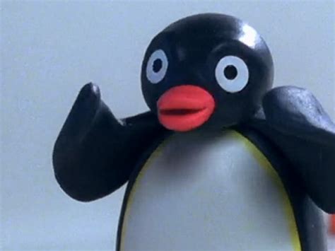 Local Man Learned Not To Trust Media When He Realized Pingu Wasnt