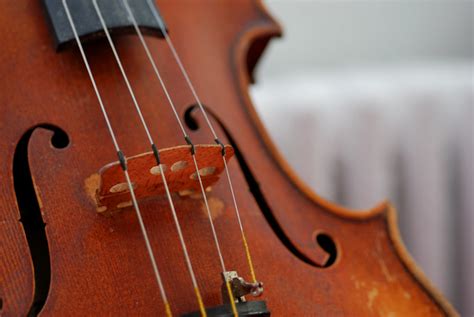 3 Defining Factors That Will Help You Choose The Best Violin Strings