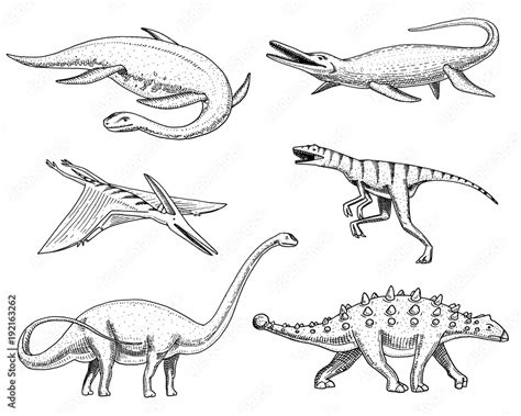 Dinosaurs Elasmosaurus Mosasaurus Barosaurus Diplodocus Pterosaur