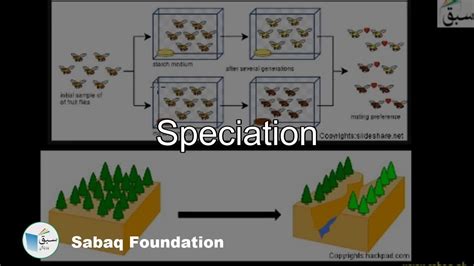 Speciation Biology Lecture Sabaqpk Youtube