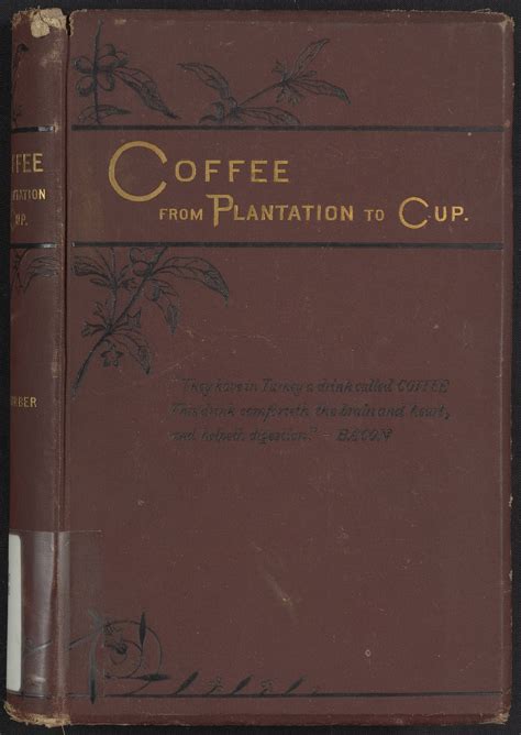 Coffee From Plantation To Cup A Brief History Of Coffee Production