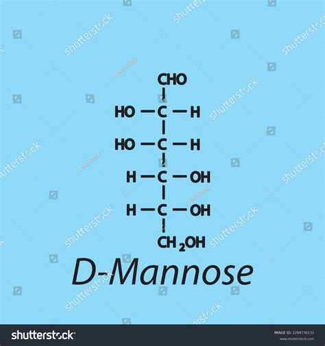 Straight Chain Form Chemical Structure Dmannose Stock Vector Royalty