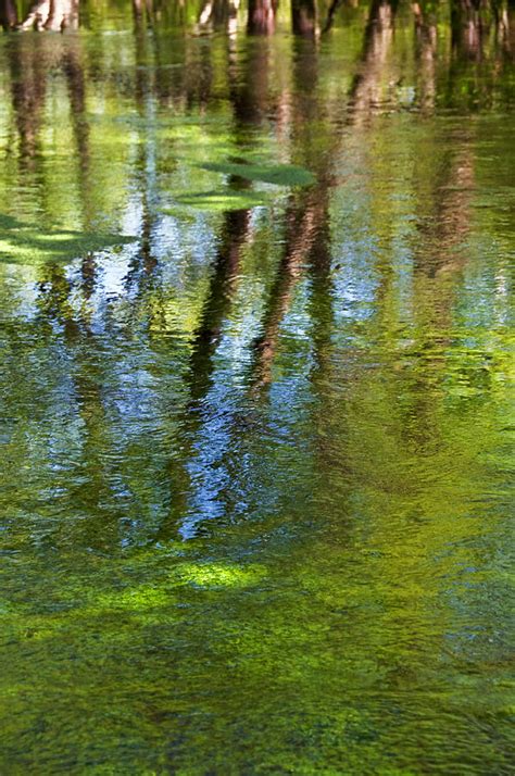 River Reflections Photograph By Alida Thorpe Fine Art America