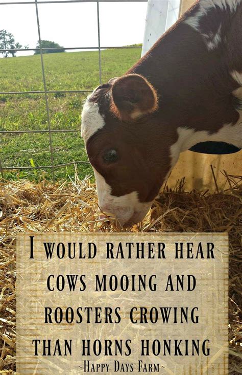 I Would Rather Hear Cows Mooing And Roosters Crowing Than Horns Honking