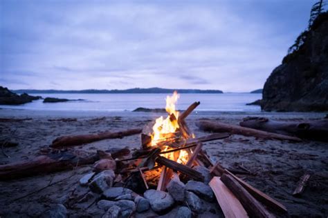 Campfires Stock Photos Pictures And Royalty Free Images Istock