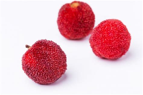 Waxberry Stock Photos Royalty Free Waxberry Images Depositphotos