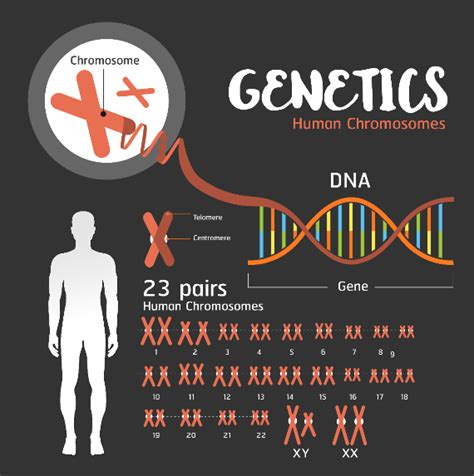 Mapeamento Genético Saiba Tudo Sobre E Onde Fazer Dasa Genômica