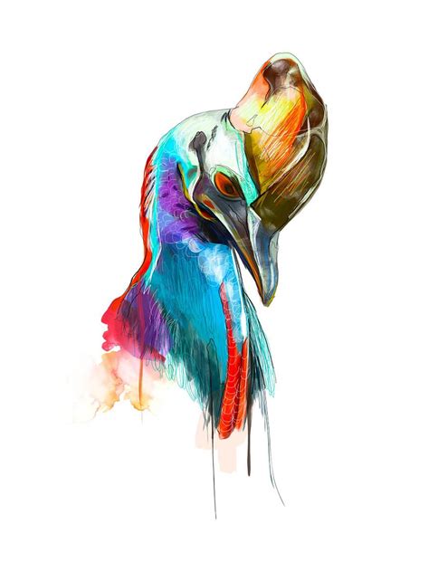 Paintings Cassowary Fauna Art Cassowary Bird