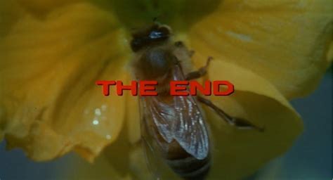 invasion of the bee girls 1973