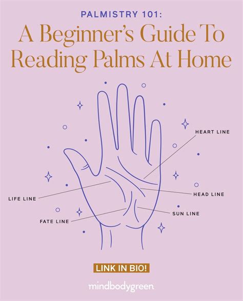 Read Between The Lines A Starter Guide To Reading Palms At Home Palm