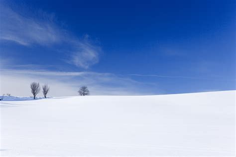 Yun Free Stock Photos No 3249 A Snowy Field Japan Hokkaido