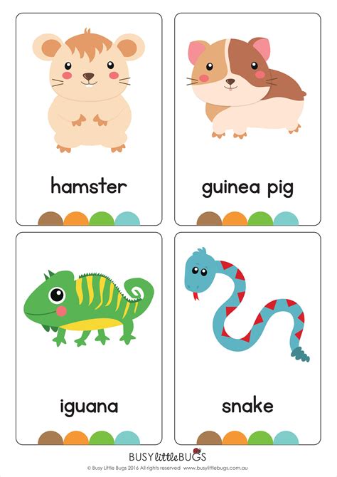 Tarjetas De Animales En Inglés Animals Flash Cards