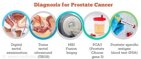 Pathophysiology Description Prostate Cancer