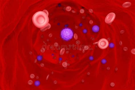 3d Rendering Red Blood Cell And White Blood Cell Flow In Blood Vessel