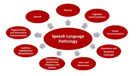 Speech Language Pathology Communication Sciences And Disorders