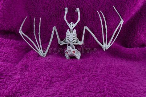 Scary Vampire Bat Skeleton With Red Eyes On Fluffy Purple Background