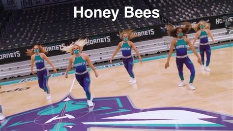 Honey Bees Charlotte Hornets Dancers Nba Dancers 572021 Dance