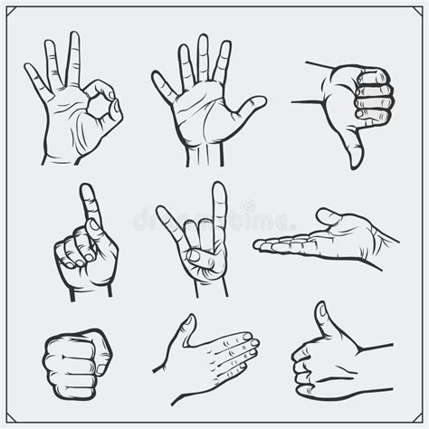 Set Of People Hands Different Gestures Stock Vector Illustration Of