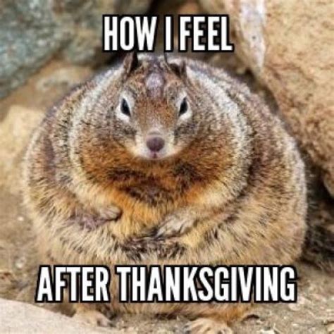 Funny Thanksgiving Memes Laughs For Turkey Day Funny Thanksgiving