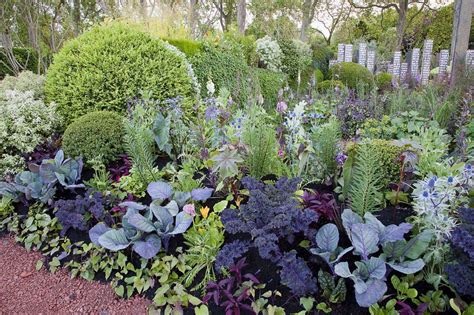 20 Garden Companion Plants Ideas You Should Check Sharonsable