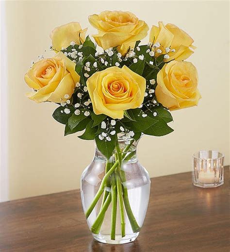Half Dozen Yellow Rose Vase Dedham Flower Shop