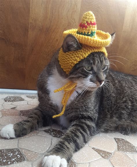 Sombrero Cat Hat Knit Hat For Cat Cat Costume Halloween Etsy