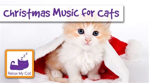 Christmas Music For Cats You Asked For It We Created It Cat Carols