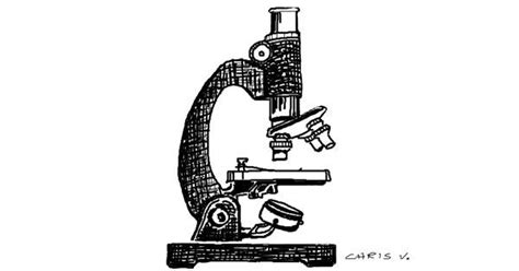 Drawing Of Microscope By Chris Drawize Gallery