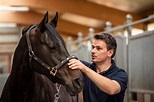 Tierarzt mit besonderem Gespür für Pferde