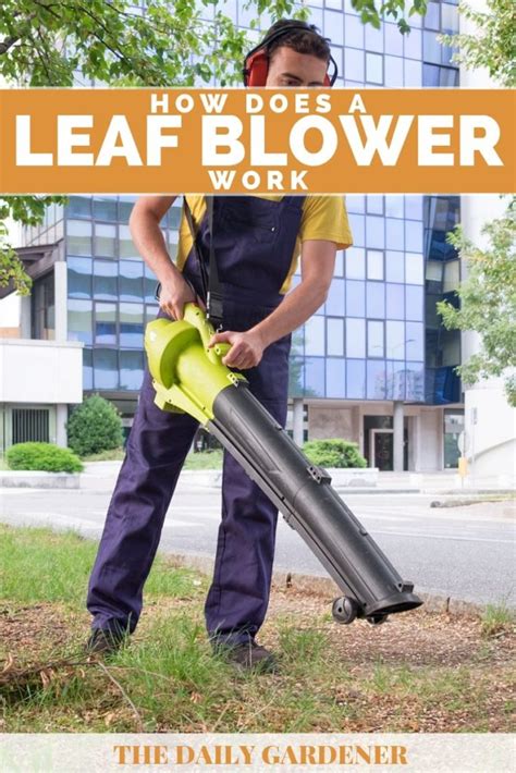 Maybe you would like to learn more about one of these? How Does a Leaf Blower Work?