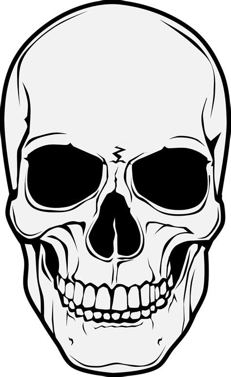 Download Skull Horror Halloween Royalty Free Vector Graphic Pixabay